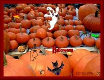 Download Pumpkins wallpaper
