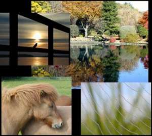 Download nature wallpapers
